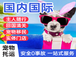 琼海航空托运国际宠物托运 【国